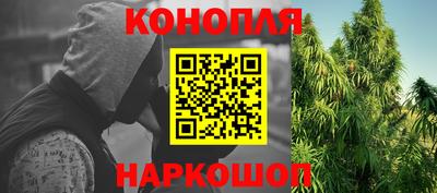 spice Краснознаменск