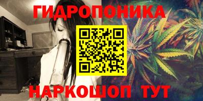 spice Краснознаменск