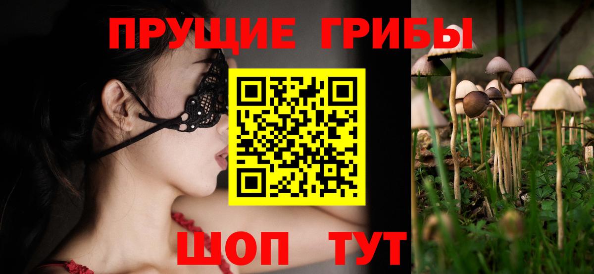 Псилоцибиновые грибы Psilocybe  Галлюциногенные грибы Psilocybe  Карпинск  Вход с VPN 
